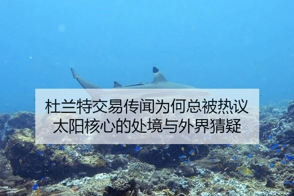 杜兰特交易传闻为何总被热议 太阳核心的处境与外界猜疑
